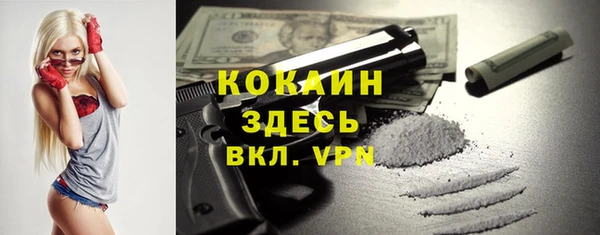 стафф Иннополис