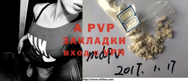 стафф Иннополис