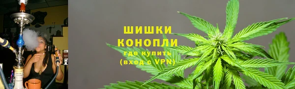 стафф Иннополис