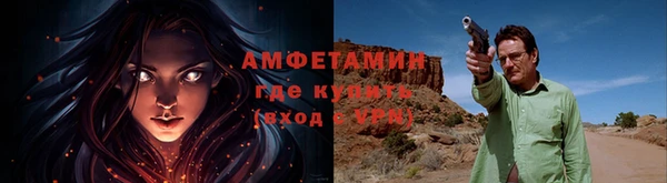 стафф Иннополис