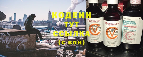 стафф Иннополис