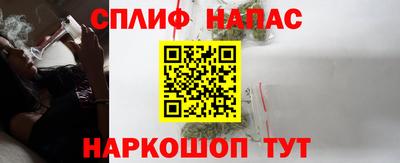 амф Гатчина