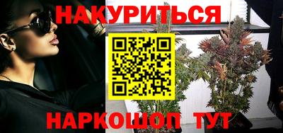 амф Гатчина