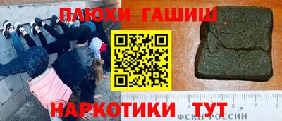 амф Гатчина