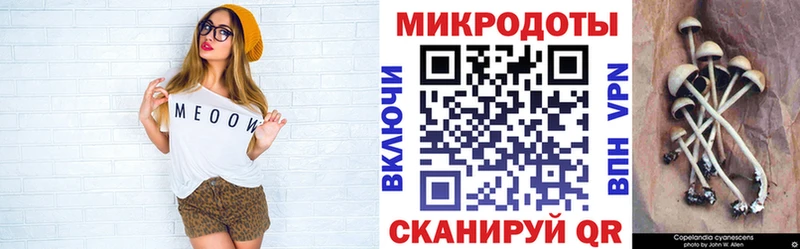 Галлюциногенные грибы Cubensis  Курск 
