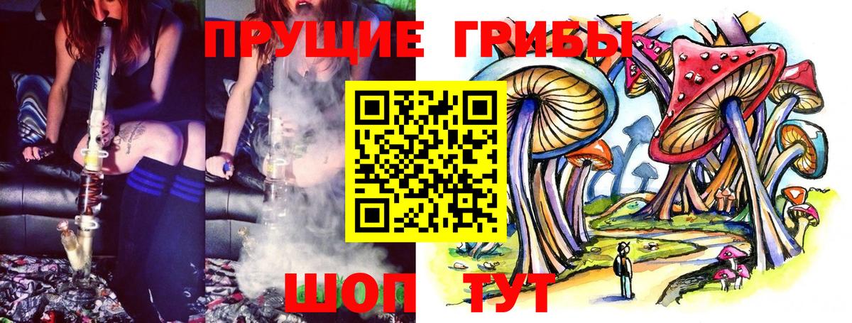 Курск  Галлюциногенные грибы мухоморы  Вход с VPN 